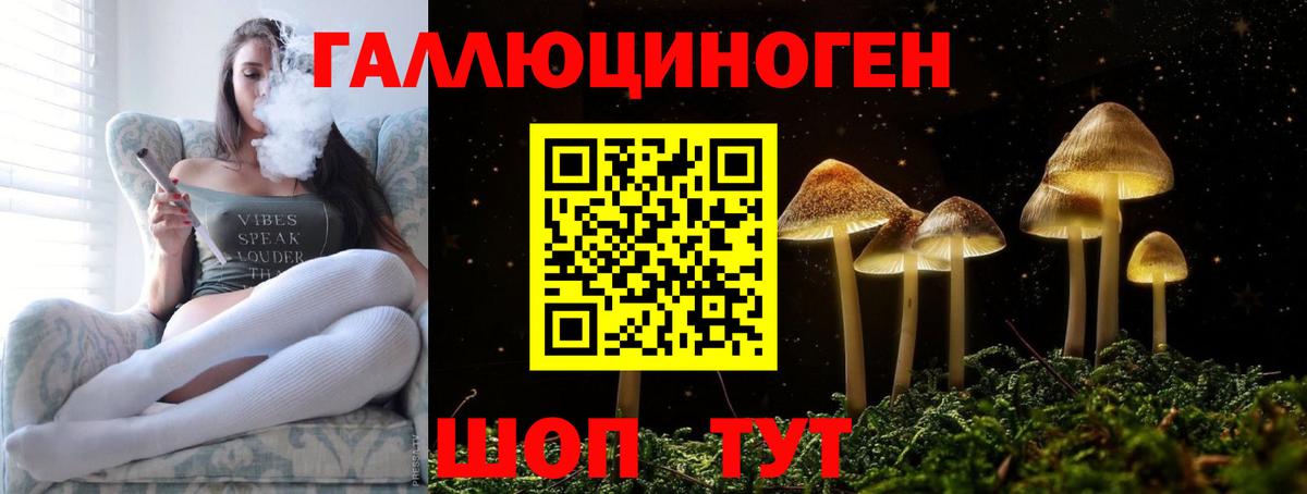 Псилоцибиновые грибы Cubensis  Вход с VPN  Зерноград 