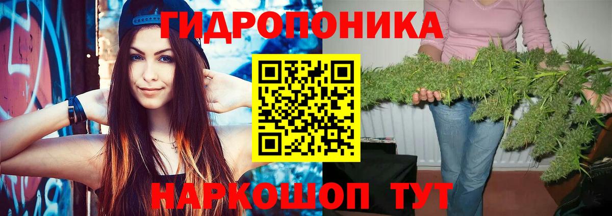 Канабис THC 21%  МАРИХУАНА White Widow  Шишки марихуана MAZAR  Зерноград  Вход с VPN  Марихуана SATIVA & INDICA 